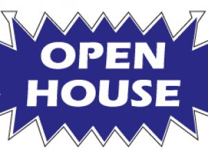 Open House / Starburst  Blue